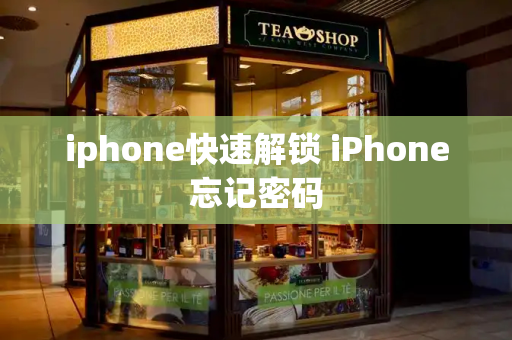 iphone快速解锁 iPhone忘记密码-第1张图片-星选测评
