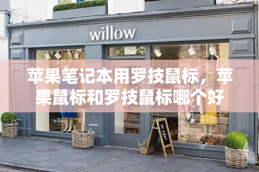 苹果笔记本用罗技鼠标，苹果鼠标和罗技鼠标哪个好