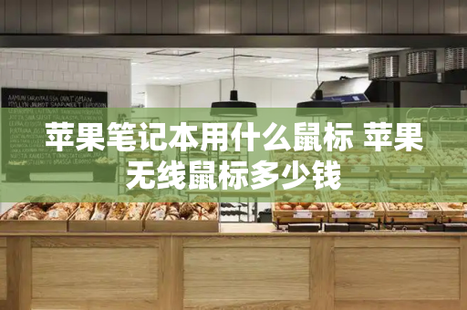 苹果笔记本用什么鼠标 苹果无线鼠标多少钱-第1张图片-星选测评