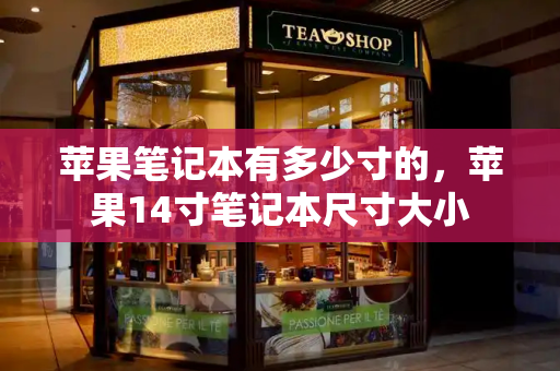 苹果笔记本有多少寸的，苹果14寸笔记本尺寸大小-第1张图片-星选测评