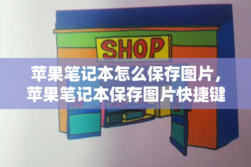 苹果笔记本怎么保存图片，苹果笔记本保存图片快捷键-第1张图片-星选测评