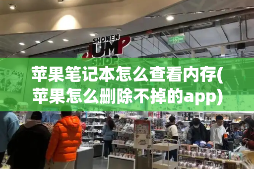 苹果笔记本怎么查看内存(苹果怎么删除不掉的app)-第1张图片-星选测评