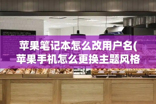 苹果笔记本怎么改用户名(苹果手机怎么更换主题风格)-第1张图片-星选测评