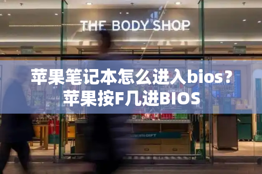 苹果笔记本怎么进入bios？苹果按F几进BIOS