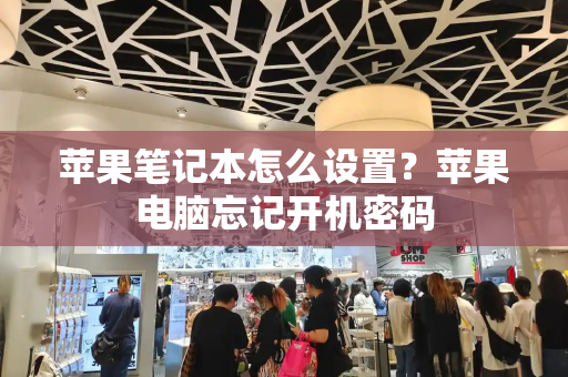 苹果笔记本怎么设置？苹果电脑忘记开机密码-第1张图片-星选测评
