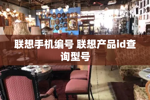 联想手机编号 联想产品id查询型号-第1张图片-星选测评