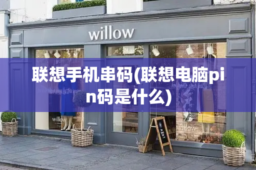 联想手机串码(联想电脑pin码是什么)-第1张图片-星选测评