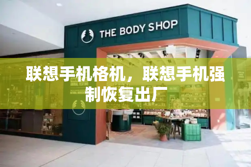 联想手机格机，联想手机强制恢复出厂-第1张图片-星选测评