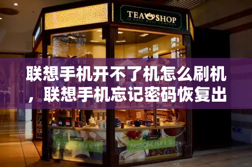 联想手机开不了机怎么刷机，联想手机忘记密码恢复出厂设置-第1张图片-星选测评