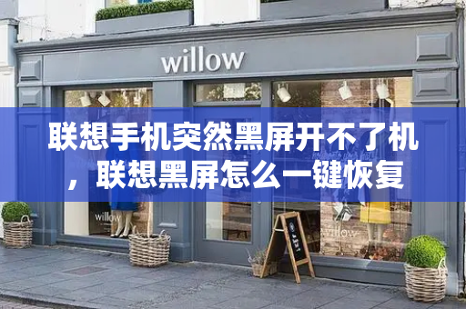 联想手机突然黑屏开不了机，联想黑屏怎么一键恢复-第1张图片-星选测评