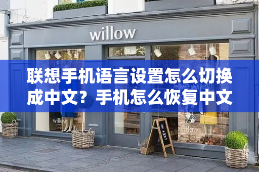 联想手机语言设置怎么切换成中文？手机怎么恢复中文模式-第1张图片-星选测评
