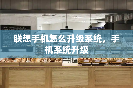 联想手机怎么升级系统，手机系统升级-第1张图片-星选测评