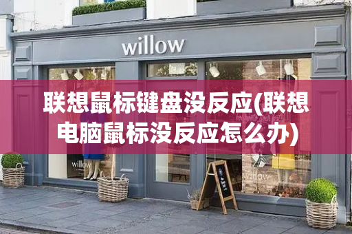 联想鼠标键盘没反应(联想电脑鼠标没反应怎么办)-第1张图片-星选测评