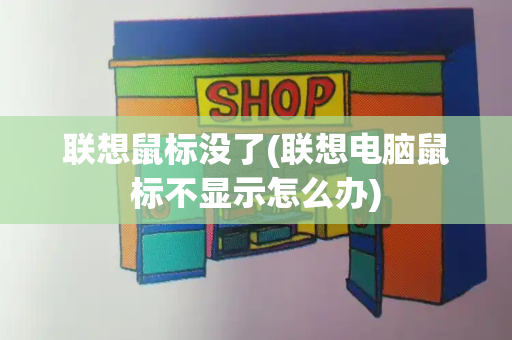联想鼠标没了(联想电脑鼠标不显示怎么办)