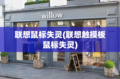 联想鼠标失灵(联想触摸板鼠标失灵)