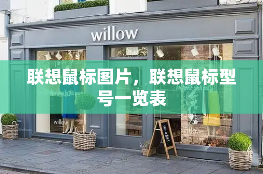 联想鼠标图片，联想鼠标型号一览表-第1张图片-星选测评