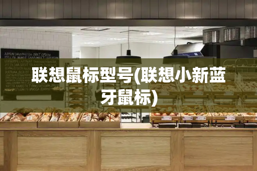 联想鼠标型号(联想小新蓝牙鼠标)