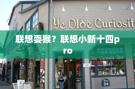 联想耍猴？联想小新十四pro