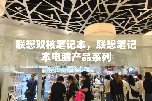 联想双核笔记本，联想笔记本电脑产品系列
