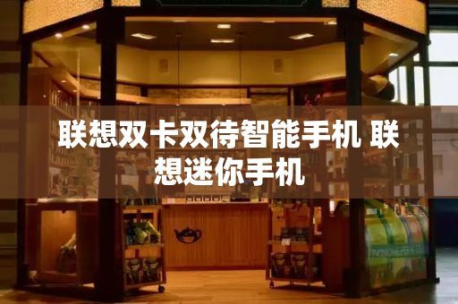 联想双卡双待智能手机 联想迷你手机-第1张图片-星选测评