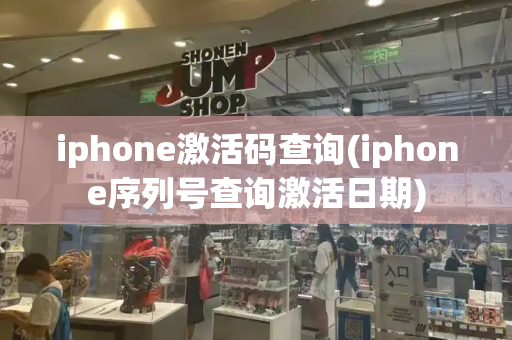 iphone激活码查询(iphone序列号查询激活日期)-第1张图片-星选测评