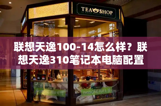 联想天逸100-14怎么样？联想天逸310笔记本电脑配置参数-第1张图片-星选测评
