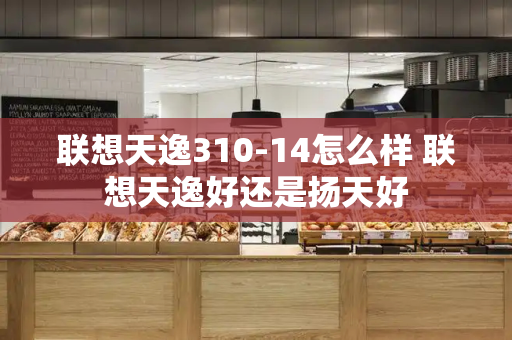 联想天逸310-14怎么样 联想天逸好还是扬天好-第1张图片-星选测评