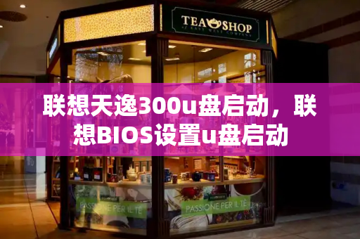 联想天逸300u盘启动，联想BIOS设置u盘启动