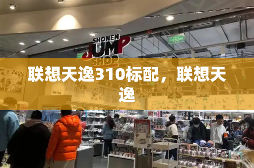 联想天逸310标配，联想天逸-第1张图片-星选测评