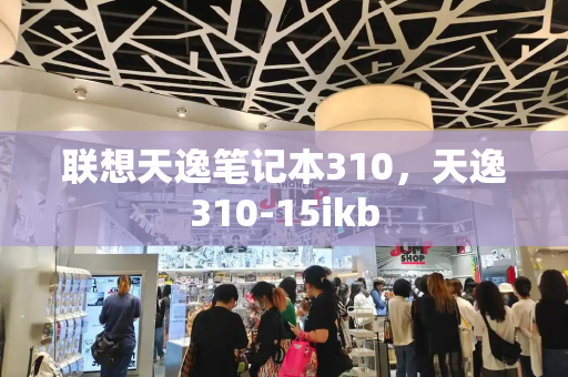 联想天逸笔记本310，天逸310-15ikb