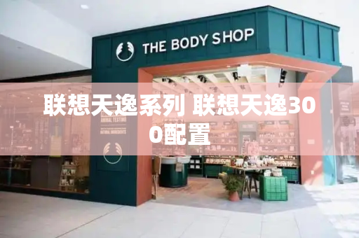 联想天逸系列 联想天逸300配置