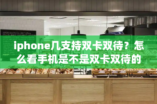 iphone几支持双卡双待？怎么看手机是不是双卡双待的-第1张图片-星选测评