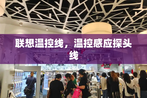 联想温控线，温控感应探头线