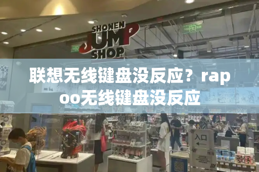 联想无线键盘没反应？rapoo无线键盘没反应-第1张图片-星选测评
