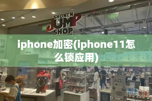 iphone加密(iphone11怎么锁应用)