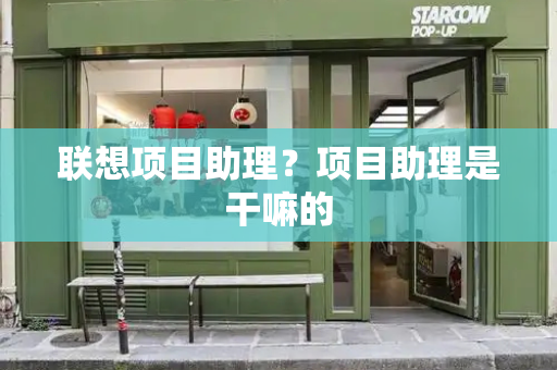 联想项目助理？项目助理是干嘛的-第1张图片-星选测评