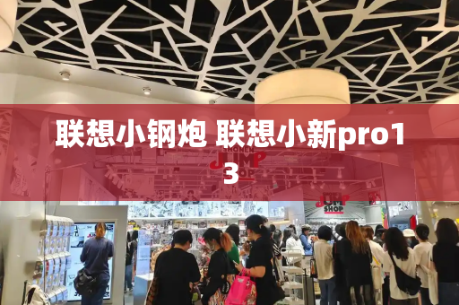 联想小钢炮 联想小新pro13