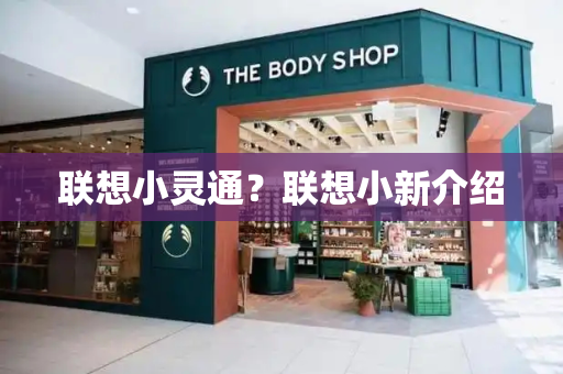 联想小灵通？联想小新介绍-第1张图片-星选测评
