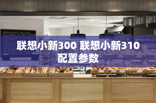 联想小新300 联想小新310配置参数