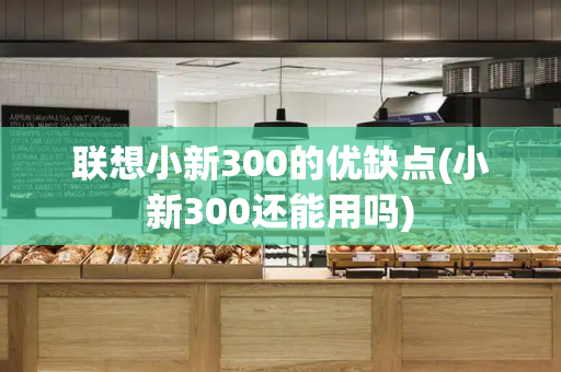 联想小新300的优缺点(小新300还能用吗)-第1张图片-星选测评