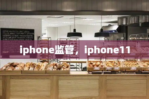 iphone监管，iphone11