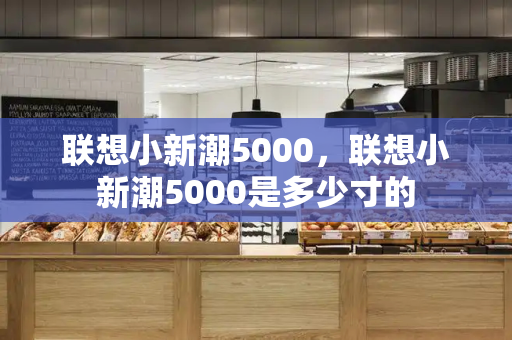 联想小新潮5000，联想小新潮5000是多少寸的-第1张图片-星选测评