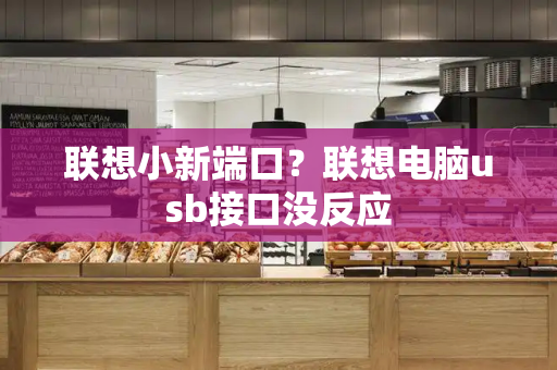 联想小新端口？联想电脑usb接口没反应-第1张图片-星选测评