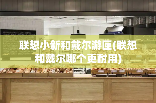 联想小新和戴尔游匣(联想和戴尔哪个更耐用)-第1张图片-星选测评