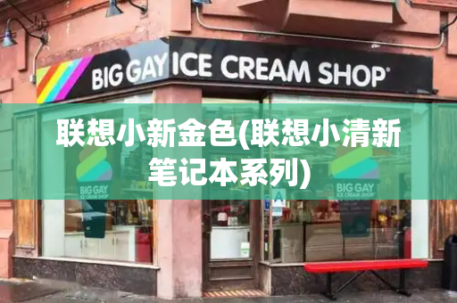 联想小新金色(联想小清新笔记本系列)-第1张图片-星选测评