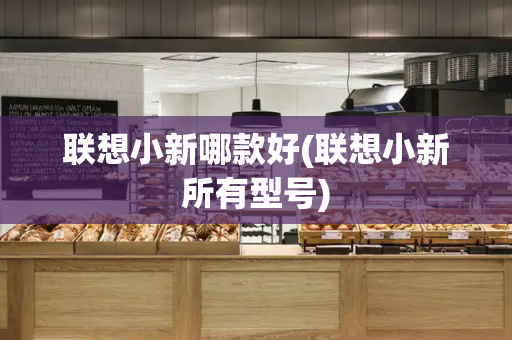 联想小新哪款好(联想小新所有型号)