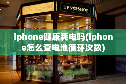 iphone健康耗电吗(iphone怎么查电池循环次数)