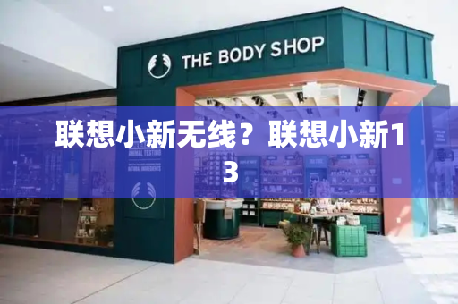 联想小新无线？联想小新13-第1张图片-星选测评