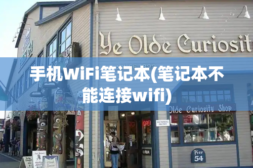 手机WiFi笔记本(笔记本不能连接wifi)-第1张图片-星选测评