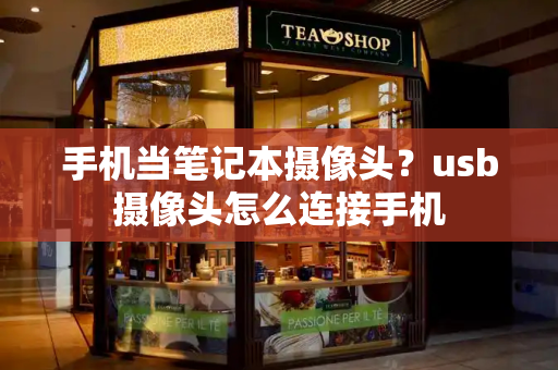 手机当笔记本摄像头？usb摄像头怎么连接手机